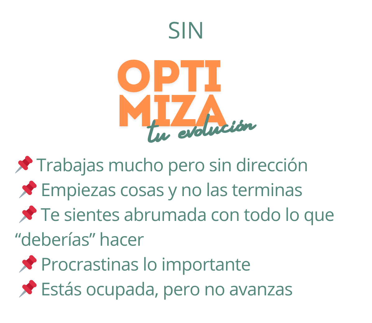 Sin Optimiza